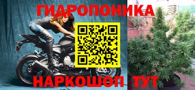 ПСИЛОЦИБИНОВЫЕ ГРИБЫ Вышний Волочёк