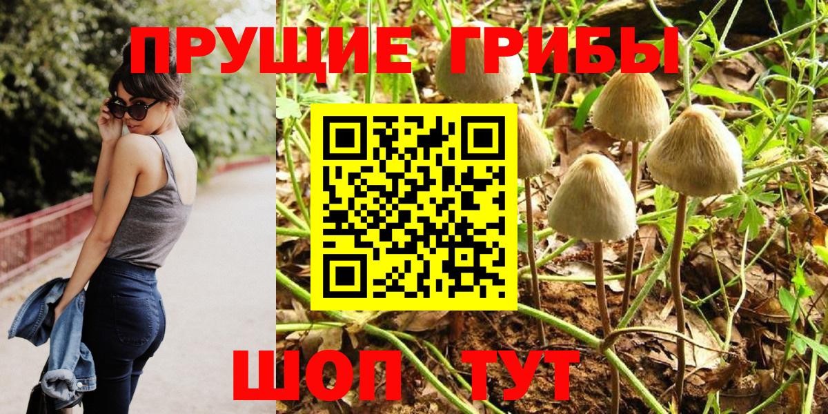Галлюциногенные грибы Psilocybe  Вход с VPN  наркота  Сатка 